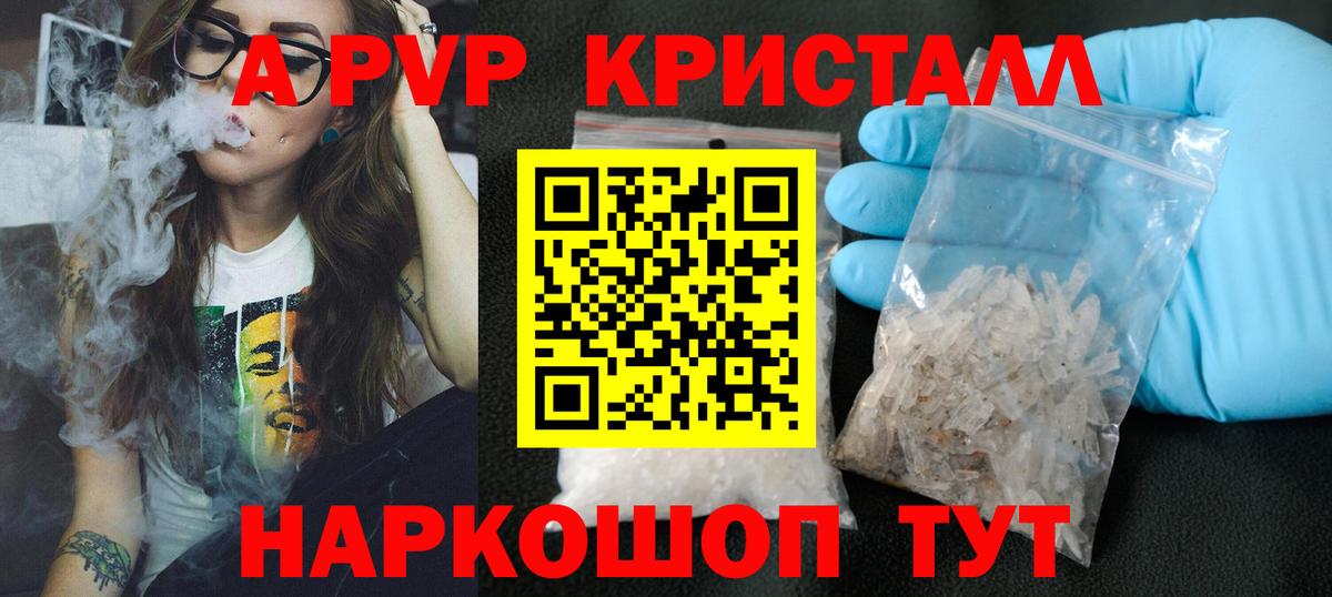A PVP СК КРИС Советск